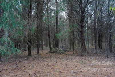 9 Ac Burree Road, Clover, SC 29710 - Photo 15