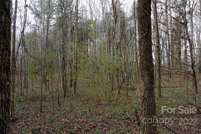9 Ac Burree Road, Clover, SC 29710 - Photo 21