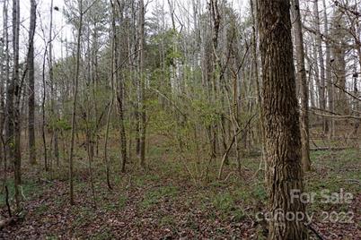 9 Ac Burree Road, Clover, SC 29710 - Photo 23