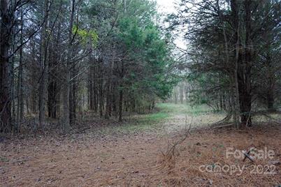 9 Ac Burree Road, Clover, SC 29710 - Photo 13