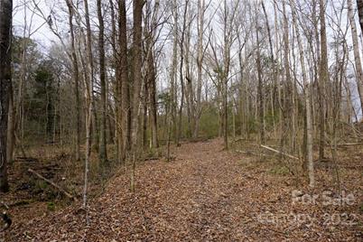 9 Ac Burree Road, Clover, SC 29710 - Photo 27