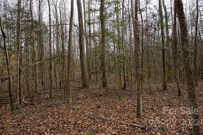 9 Ac Burree Road, Clover, SC 29710 - Photo 29