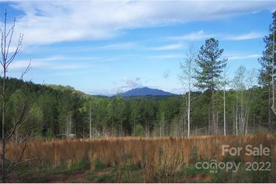 Tract 3 County Line Road, Mill Spring, NC 28756 - Photo 1