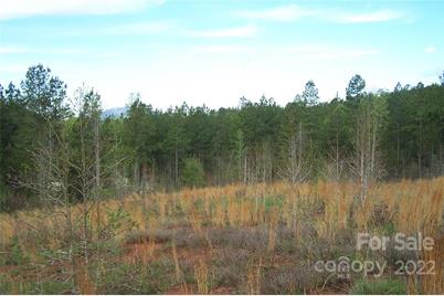 Tract 3 County Line Road, Mill Spring, NC 28756 - Photo 5