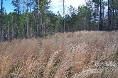 Tract 3 County Line Road, Mill Spring, NC 28756 - Photo 3