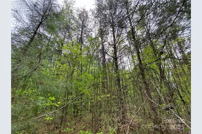 00 Sunrise Trail, Lincolnton, NC 28092 - Photo 13