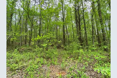 00 Sunrise Trail, Lincolnton, NC 28092 - Photo 9