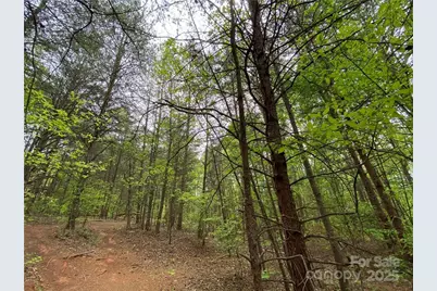 00 Sunrise Trail, Lincolnton, NC 28092 - Photo 41