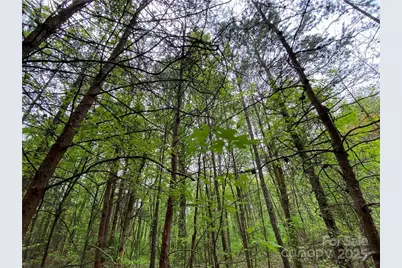 00 Sunrise Trail, Lincolnton, NC 28092 - Photo 37