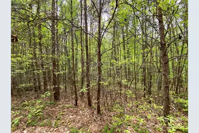 00 Sunrise Trail, Lincolnton, NC 28092 - Photo 27