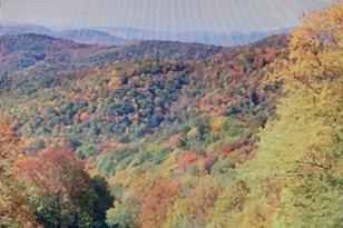 00 Trillium Ln, Mars Hill, NC 28754 - Photo 9