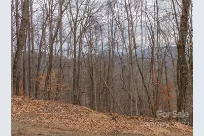 189 Sandys Home Place #Lot 7B, Mars Hill, NC 28754 - Photo 7