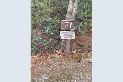 55 Boone Cove Road #71, Zirconia, NC 28790 - Photo 1