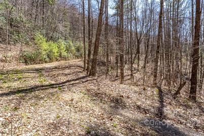 99999 Bartlett Mountain Road #14, Asheville, NC 28805 - Photo 15