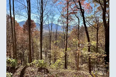 11 Trout Lily Lane #11, Maggie Valley, NC 28751 - Photo 1