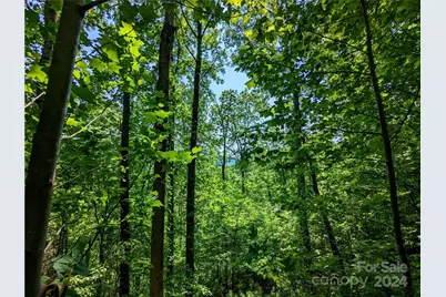 11 Trout Lily Lane #11, Maggie Valley, NC 28751 - Photo 11