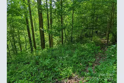 11 Trout Lily Lane #11, Maggie Valley, NC 28751 - Photo 9