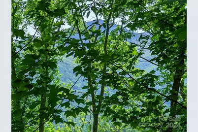 11 Trout Lily Lane #11, Maggie Valley, NC 28751 - Photo 3