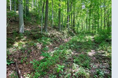 00 Reo Drive, Waynesville, NC 28785 - Photo 11