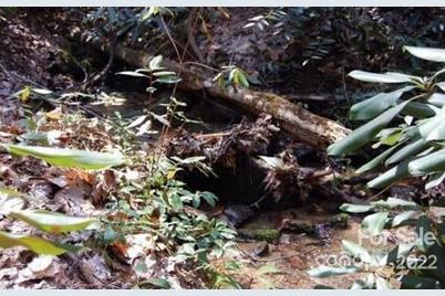 Lot 361 Hickory Nut Lane, Lake Lure, NC 28746 - Photo 11