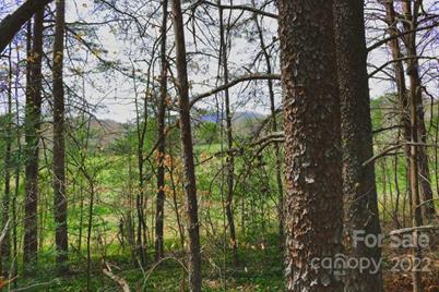 0 Westridge Drive #87, Lake Lure, NC 28746 - Photo 1