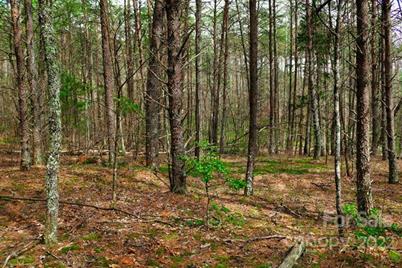 0 Westridge Drive #87, Lake Lure, NC 28746 - Photo 3