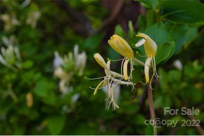 0 Midnight Pass #337, Rutherfordton, NC 28139 - Photo 5