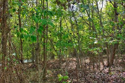 0 Chimney Creek Lane #194, Rutherfordton, NC 28139 - Photo 3