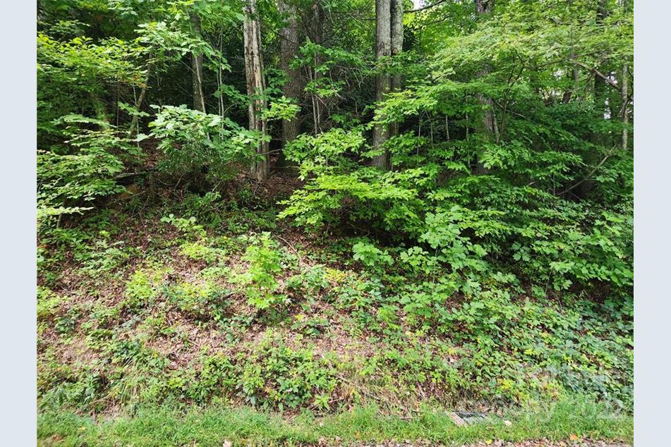 00 Seven Mile Ridge Rd, Burnsville, NC 28714 - MLS 3902363 - Coldwell ...