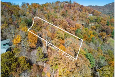 000 Vance Gap Road, Asheville, NC 28804 - Photo 9