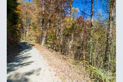 000 Vance Gap Road, Asheville, NC 28804 - Photo 13