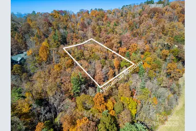 000 Vance Gap Road, Asheville, NC 28804 - Photo 3