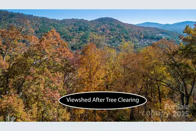 000 Vance Gap Road, Asheville, NC 28804 - Photo 11