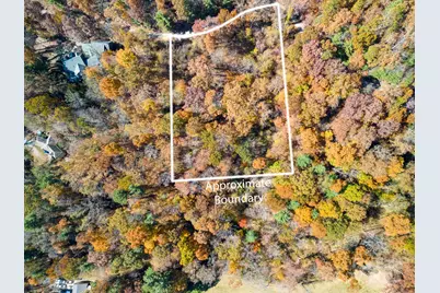 000 Vance Gap Road, Asheville, NC 28804 - Photo 7