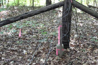 0 Hoover Road, Troutman, NC 28166 - Photo 29