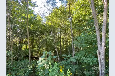 46 Holmstead Drive #46, Lake Lure, NC 28746 - Photo 25