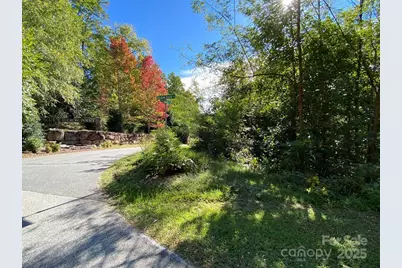 46 Holmstead Drive #46, Lake Lure, NC 28746 - Photo 13