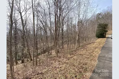 46 Holmstead Drive #46, Lake Lure, NC 28746 - Photo 3