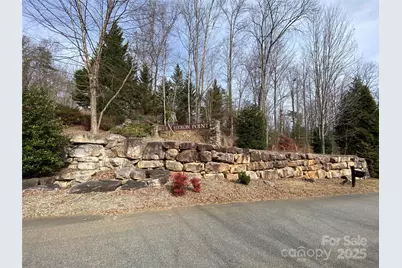 46 Holmstead Drive #46, Lake Lure, NC 28746 - Photo 9