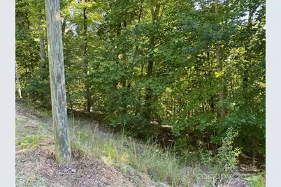 46 Holmstead Drive #46, Lake Lure, NC 28746 - Photo 17