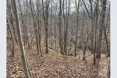 46 Holmstead Drive #46, Lake Lure, NC 28746 - Photo 5