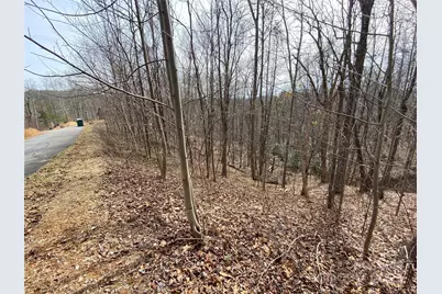 46 Holmstead Drive #46, Lake Lure, NC 28746 - Photo 7