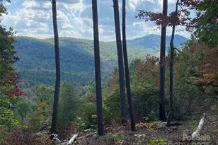 61 Scenic Vista Dr, Nebo, NC 28761 - Photo 1