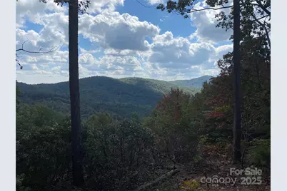 61 Scenic Vista Drive #238, Nebo, NC 28761 - Photo 7