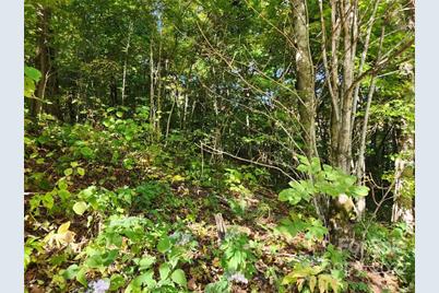 00 Staymon Road #229, Waynesville, NC 28786 - Photo 5