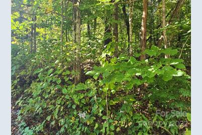 00 Staymon Road #229, Waynesville, NC 28786 - Photo 3