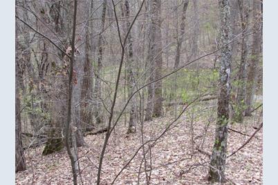 E- 18 Red Wolf Run None, Mars Hill, NC 28754 - Photo 15