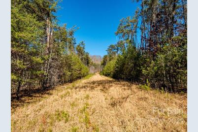 6 Tylers Run #12, Candler, NC 28715 - Photo 15