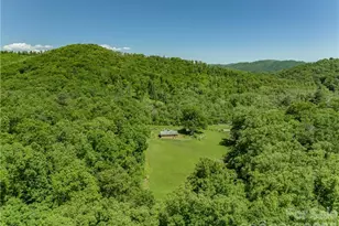 99999 Merrills Cove Rd, Asheville, NC 28803 - Photo 31