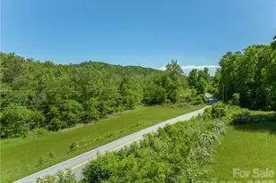99999 Merrills Cove Rd, Asheville, NC 28803 - Photo 5